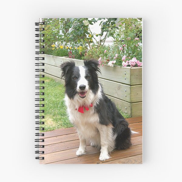 Item preview,  Ollie.......is that a twinkle in his eye.....? designed and sold by Roy  Massicks.