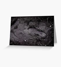 Life impressions Greeting Card