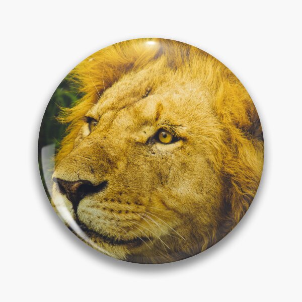 Item preview, Male Lion Close-Up Photography designed and sold by BossyCatHome.