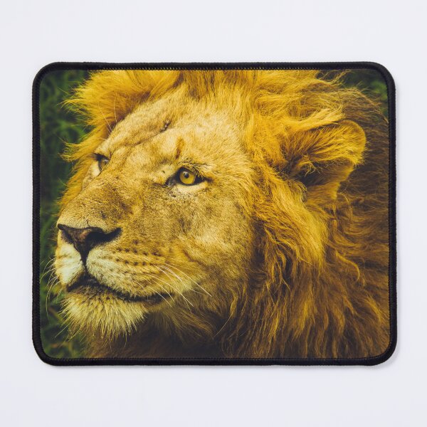 Item preview, Male Lion Close-Up Photography designed and sold by BossyCatHome.