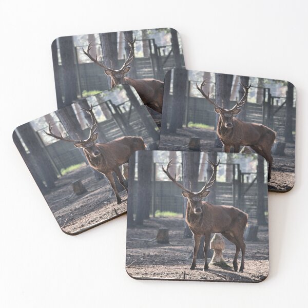 Item preview, Stag Intense Stare designed and sold by Fearless-Fox.