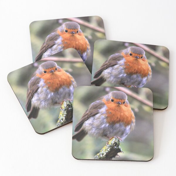 Item preview, Robin Watching Me designed and sold by Vicki Spindler (VHS Photography).