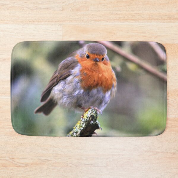 Item preview, Robin Watching Me designed and sold by Vicki Spindler (VHS Photography).