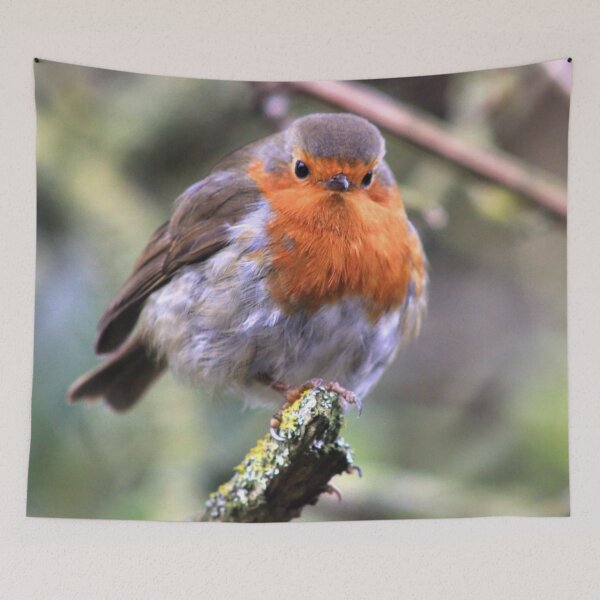 Item preview, Robin Watching Me designed and sold by Vicki Spindler (VHS Photography).