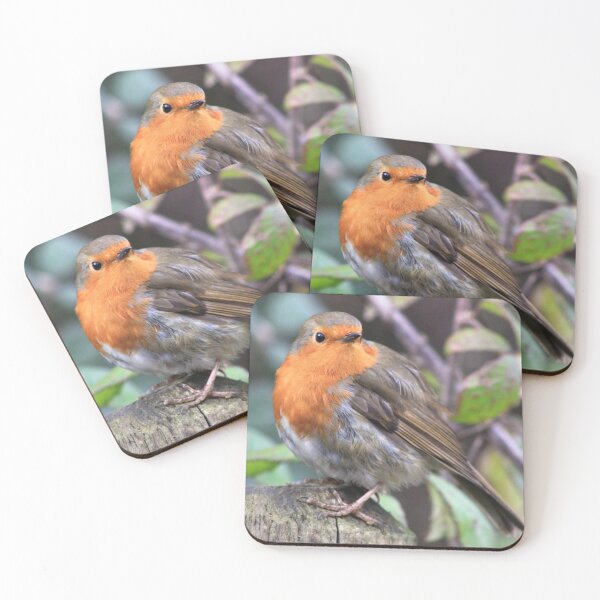 Item preview, Cute Little Robin designed and sold by Vicki Spindler (VHS Photography).