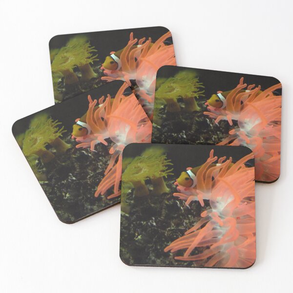 Item preview, Clownfish in its anemone designed and sold by E-Maniak.