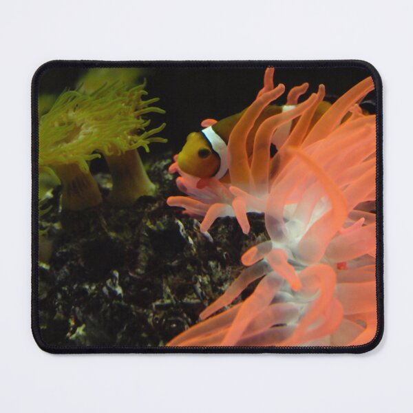 Item preview, Clownfish in its anemone designed and sold by E-Maniak.