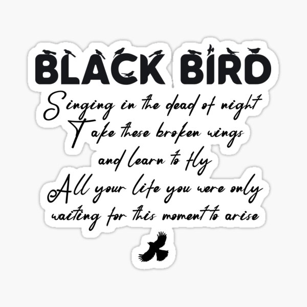 blackbird-singing-in-the-dead-of-night-sticker-by-modulary-redbubble