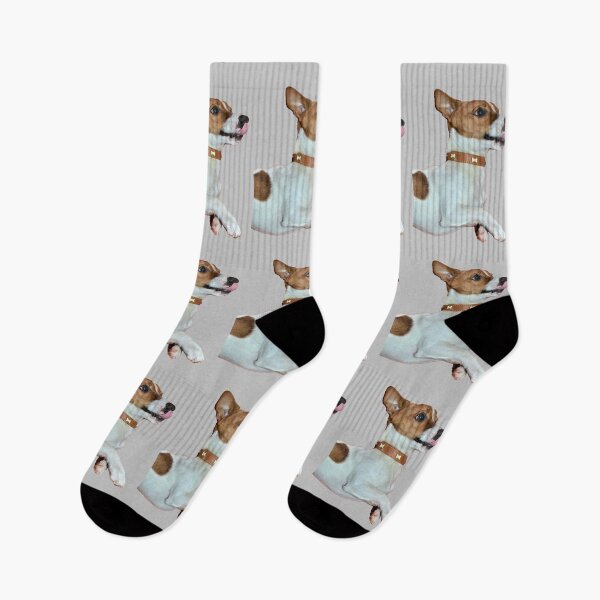 Item preview, Jack russell terrier designed and sold by C.T. Photography.