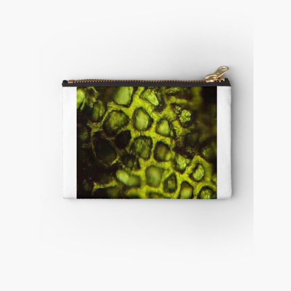 Item preview, Devonian Plant Microfossil designed and sold by Pr0teusUnbound.
