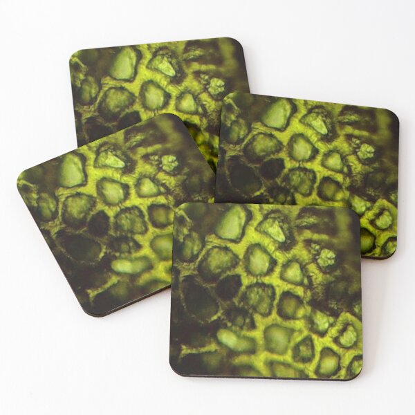Item preview, Devonian Plant Microfossil designed and sold by Pr0teusUnbound.
