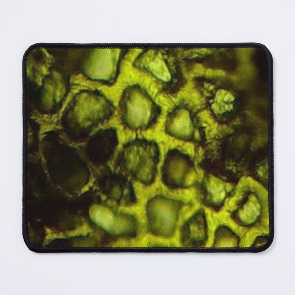 Item preview, Devonian Plant Microfossil designed and sold by Pr0teusUnbound.