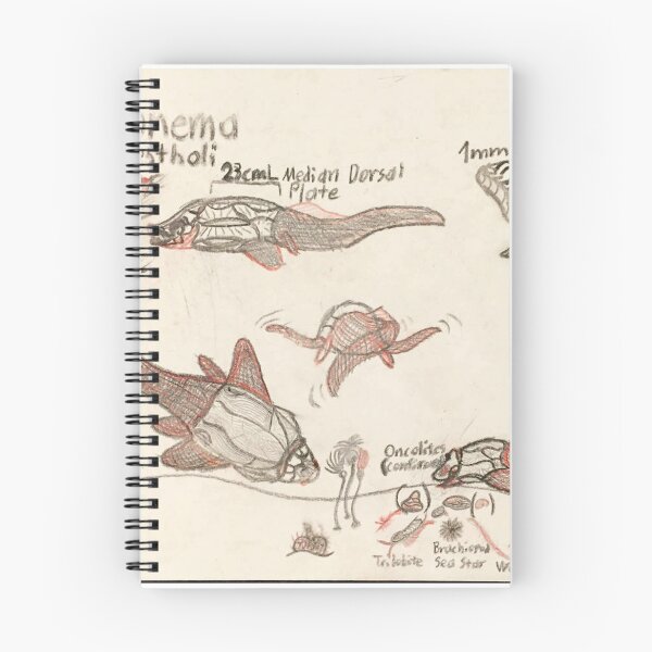 Item preview, Devonian Placoderm Holonema designed and sold by Pr0teusUnbound.