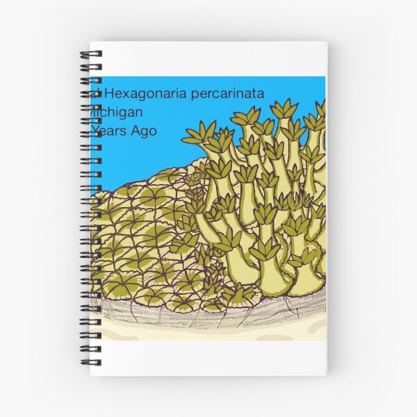 Item preview, Petoskey Stone Hexagonaria designed and sold by Pr0teusUnbound.