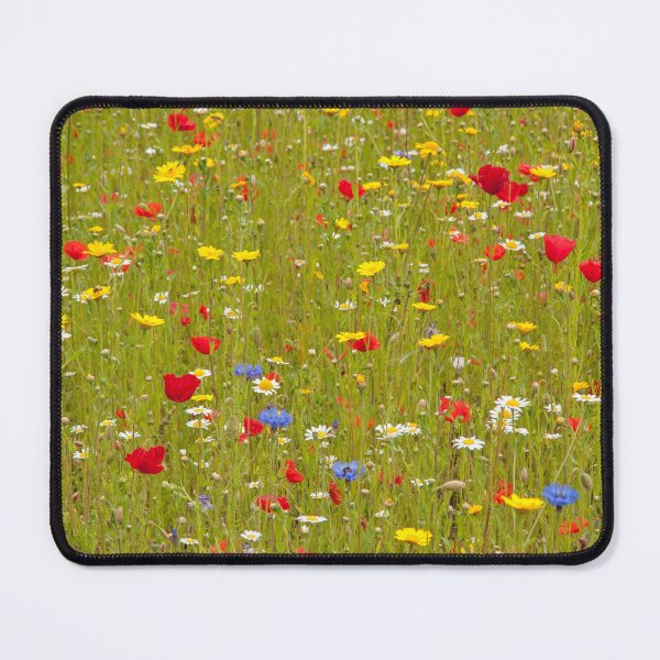 Item preview, Summertime designed and sold by maureen bracewell.