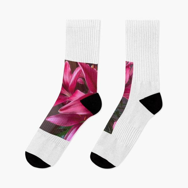 Item preview, Pink lilies designed and sold by Alfi1980.