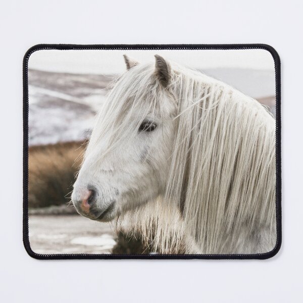 Item preview, Pony on a Snowy Hillside designed and sold by Jane Stanley Photography.