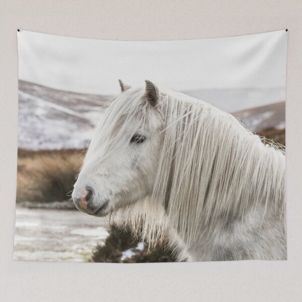 Item preview, Pony on a Snowy Hillside designed and sold by Jane Stanley Photography.