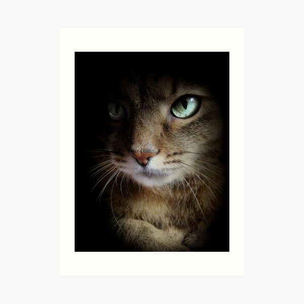 Shadow Watch Art Print