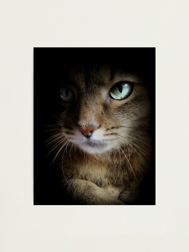 Alternate view of Shadow Watch Photographic Print