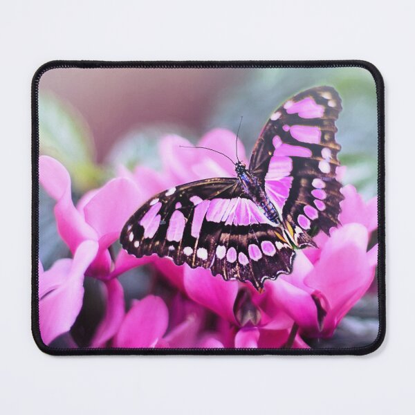 Item preview, Spring butterfly designed and sold by authenticwords.