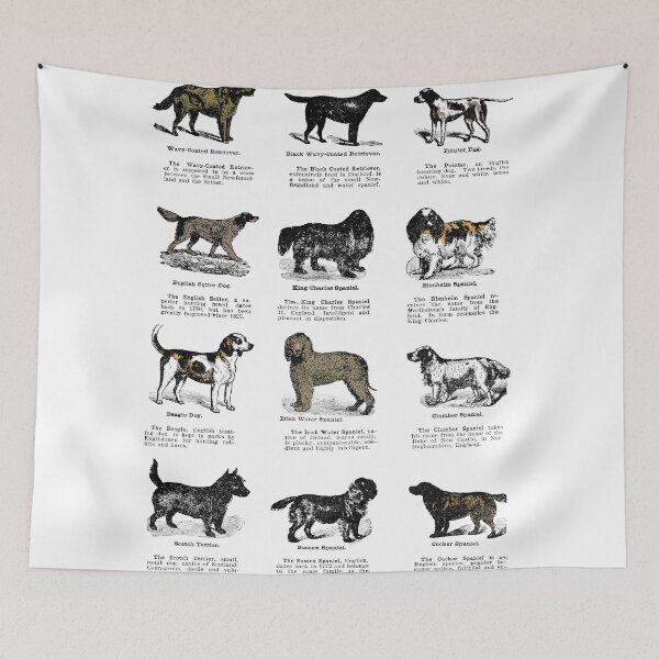 Artikelvorschau, Dog breeds vintage poster entworfen und verkauft von Vintage Designs +.
