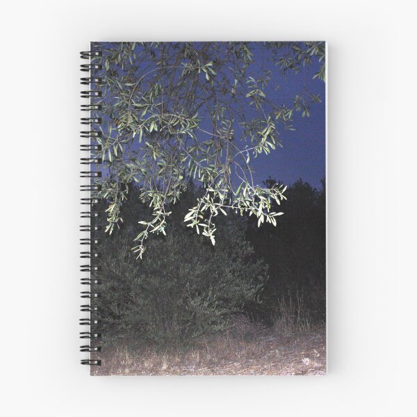 Item preview, Illuminated olive tree designed and sold by LuminusProject.