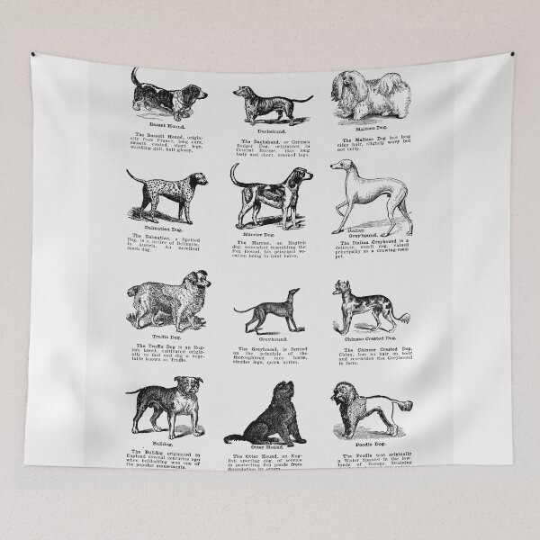 Artikelvorschau, Dog breeds vintage poster entworfen und verkauft von Vintage Designs +.