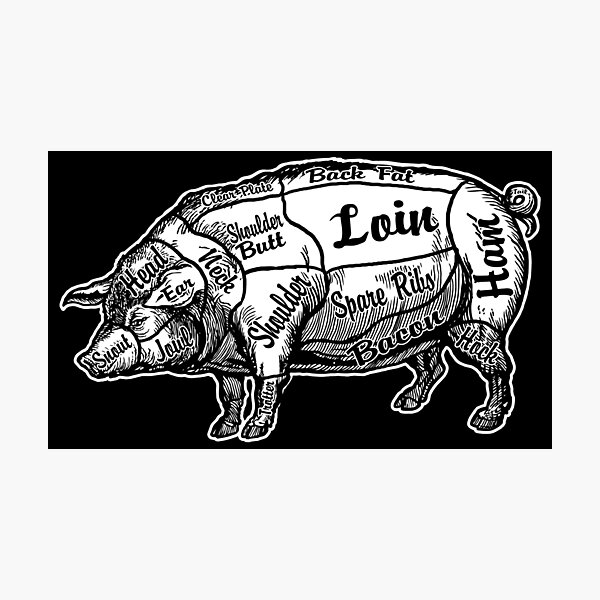 Chef Butcher Chart (Hog Edition). Photographic Print