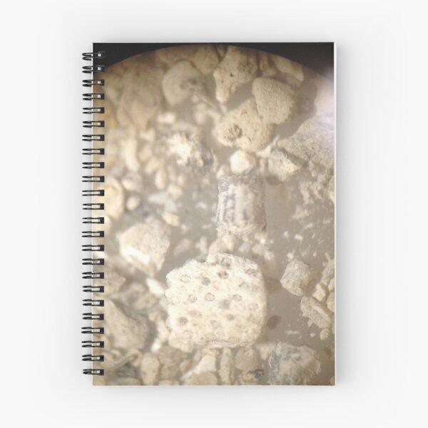 Item preview, Crinoid Ossicle And Bryozoan Fragment designed and sold by Pr0teusUnbound.