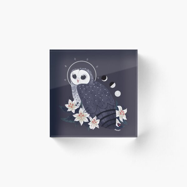 Familiar - Sooty Owl Acrylic Block
