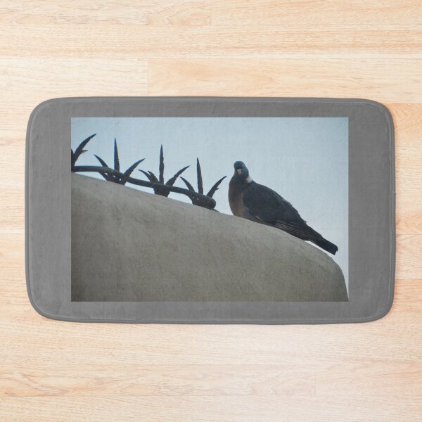 Item preview, Pigeon on low wall designed and sold by E-Maniak.