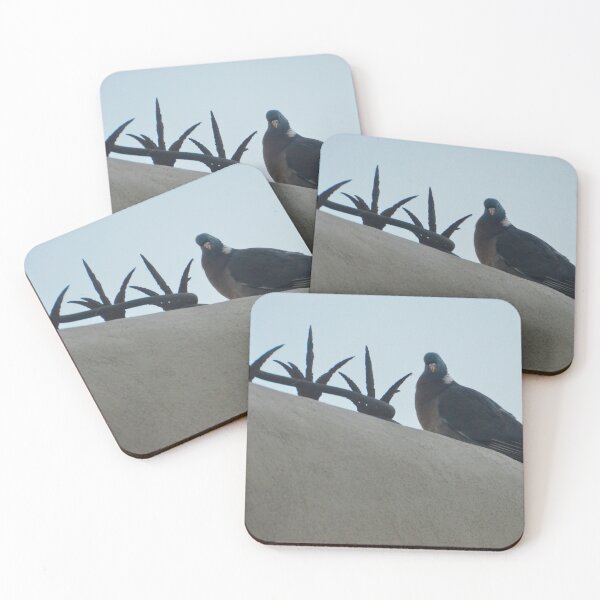 Item preview, Pigeon on low wall designed and sold by E-Maniak.