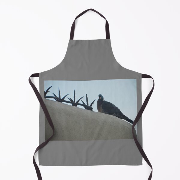 Item preview, Pigeon on low wall designed and sold by E-Maniak.