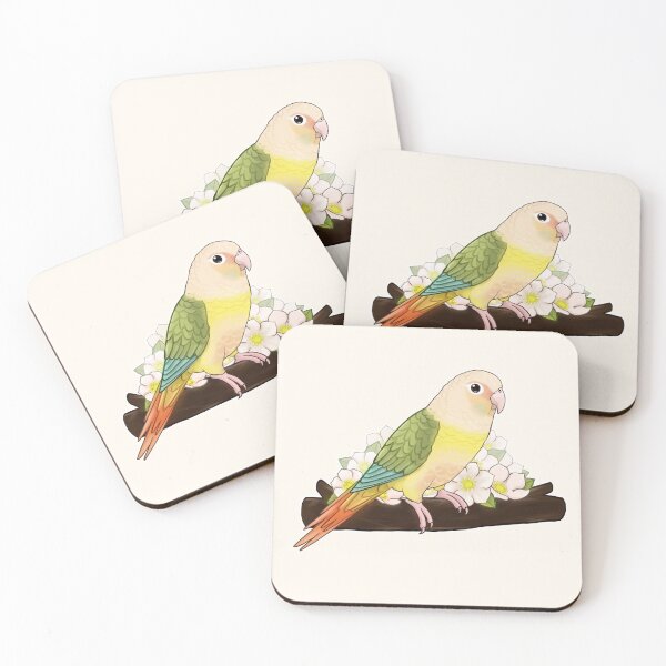 Item preview, Cute Conure designed and sold by meruesan.