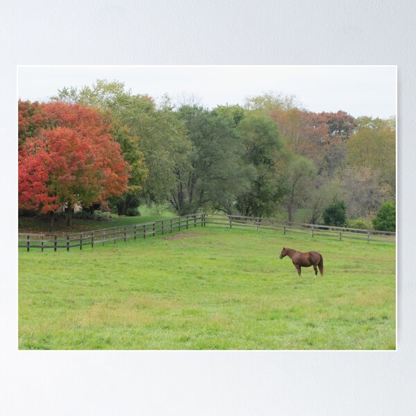 Item preview, Horse in the Pasture During Autumn designed and sold by adriturner.
