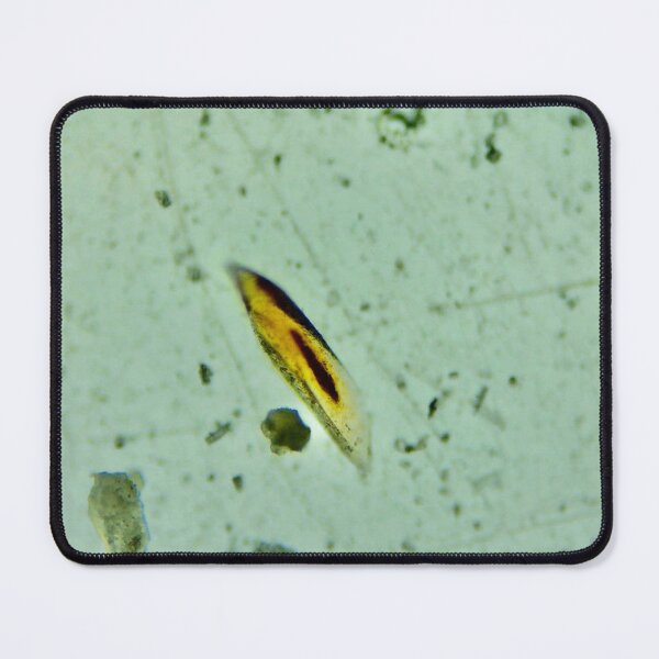 Item preview, Devonian Fish Scale designed and sold by Pr0teusUnbound.