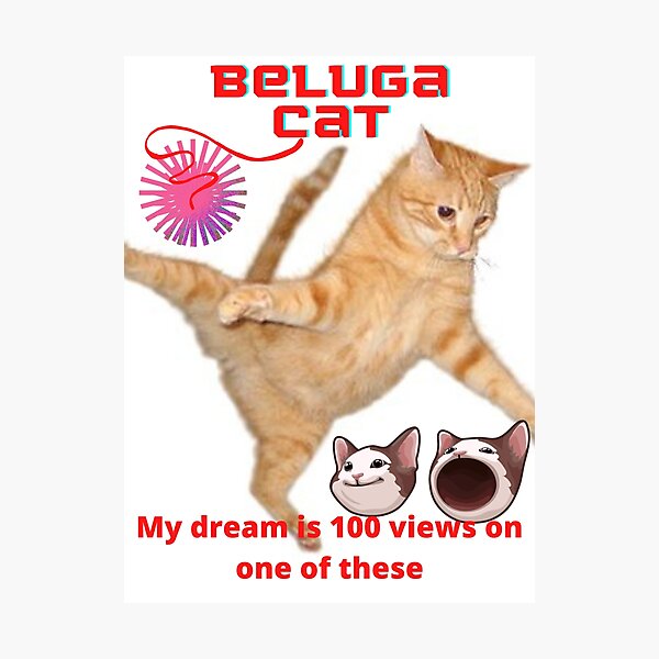 Beluga Cat Pfp Photographic Prints for Sale