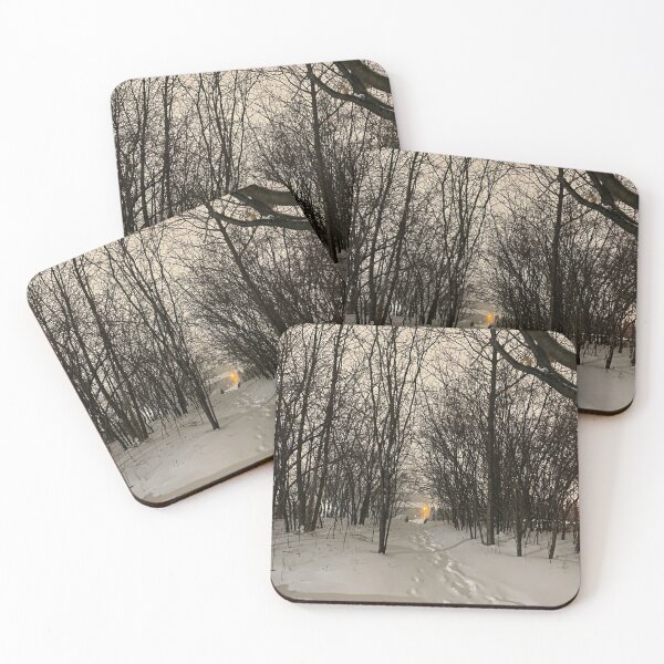 Item preview, Winter Path designed and sold by Pr0teusUnbound.