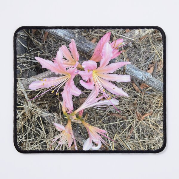 Item preview, Persistent Pink Lilies designed and sold by GladBlackLamb.