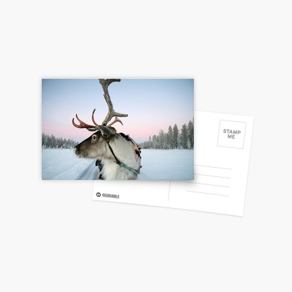 Item preview, Lapland Reindeer designed and sold by Trifle.