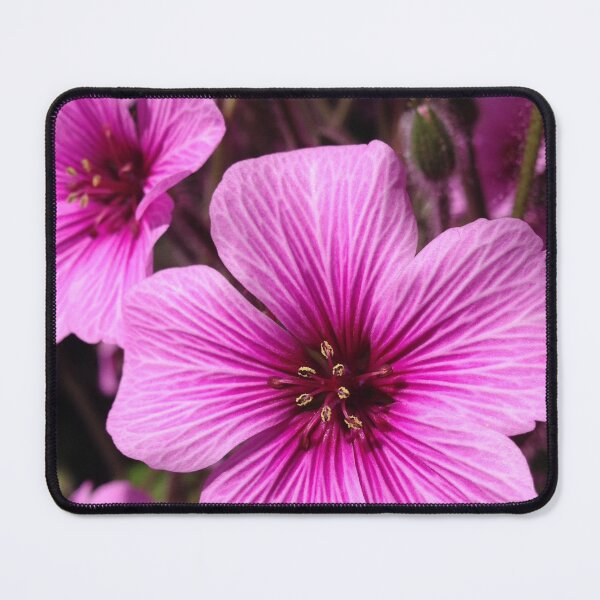 Item preview, Spring flower designed and sold by authenticwords.