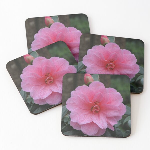 Item preview, Dark pink Camellia designed and sold by TwistedClassics.