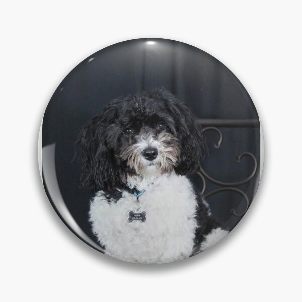 Item preview, Handsome doggo designed and sold by Daniella  Hale.