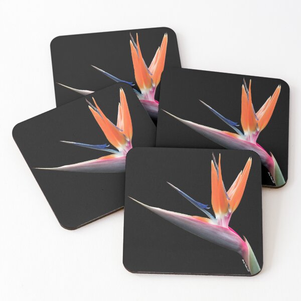 Item preview, Bird of Paradise designed and sold by Nomadic Spirit Studios.