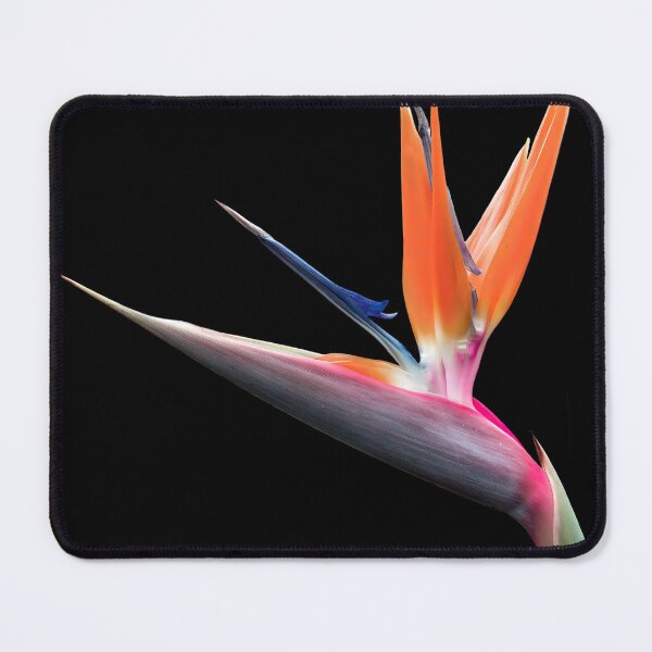 Item preview, Bird of Paradise designed and sold by Nomadic Spirit Studios.