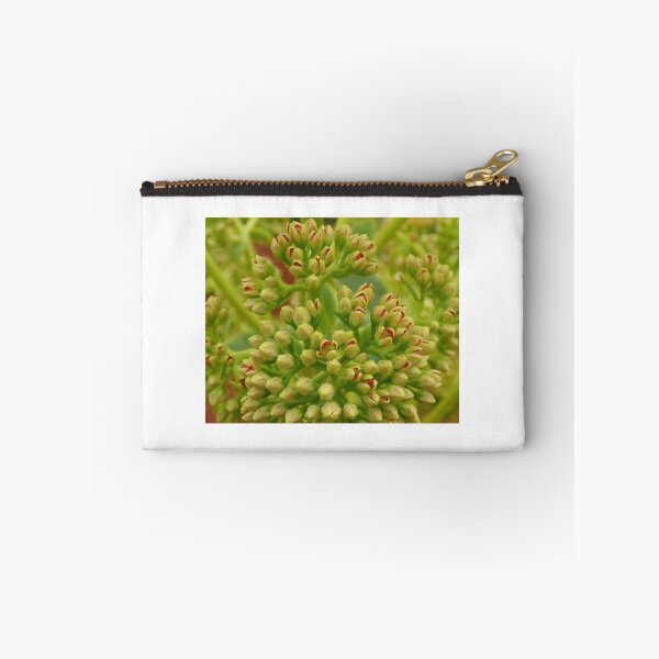 Item preview, Just about ready to bloom. designed and sold by stevealder.