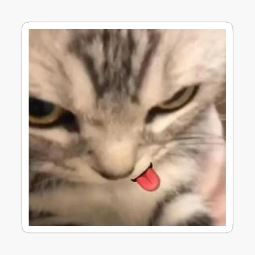 cat cute funny face tongue meme | Sticker