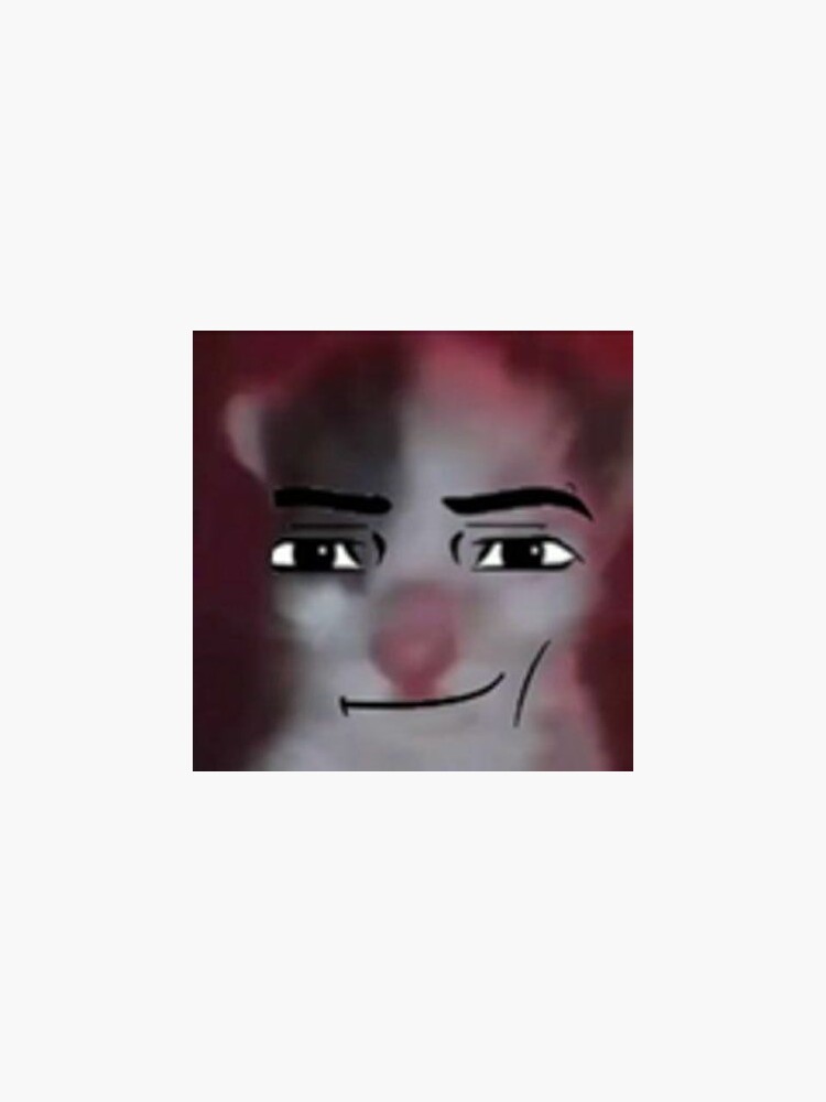 Cat with man face - Roblox