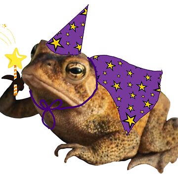 Glitter Wizard Frog Sticker
